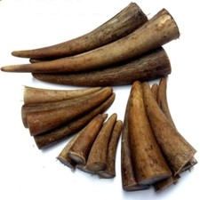 2 Pcs Tibet Yak White Horn Tip Solid Blank Knife Handle Seal Stick Craft DIY