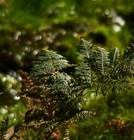 Bild 5 von 6
