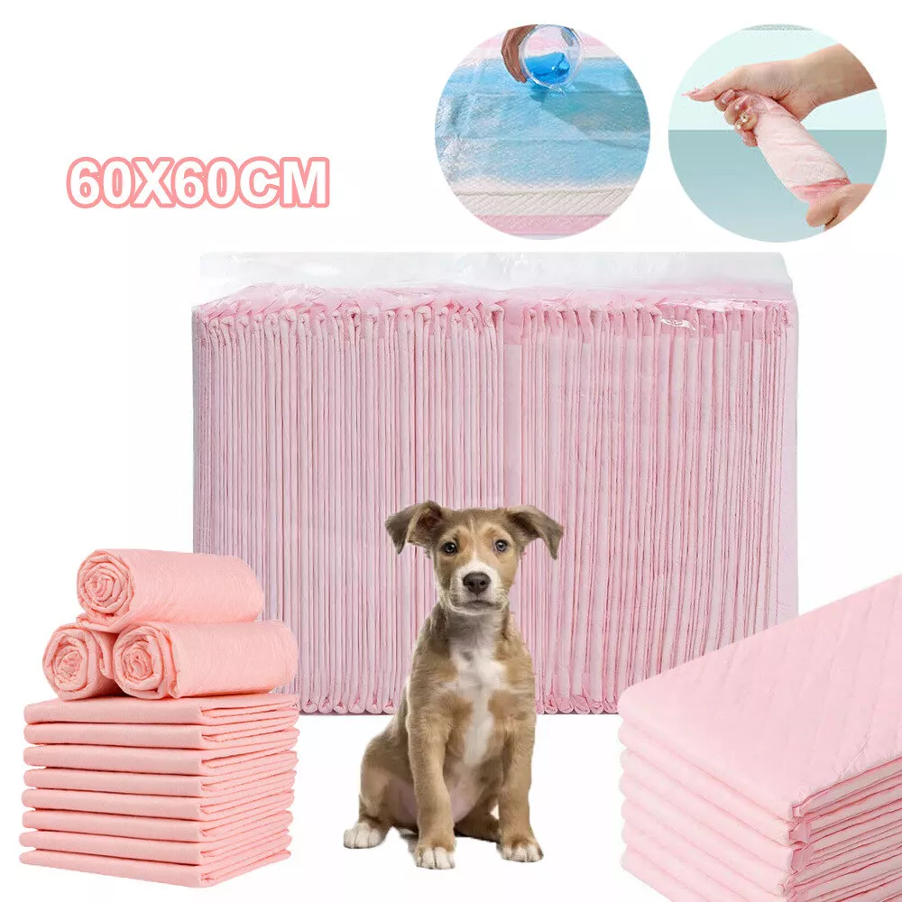 Cat wee wee outlet pads