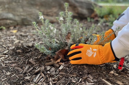 Morewell- Daisy Rose Embroidery Garden Gloves with Touchscreen Function - Picture 5 of 59