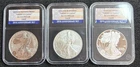 2006 American Silver Eagle 20th Anniversary 3 Coin Set In Nice Holders