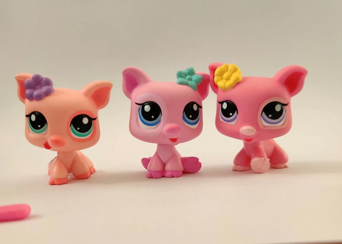 Lps pig 2025