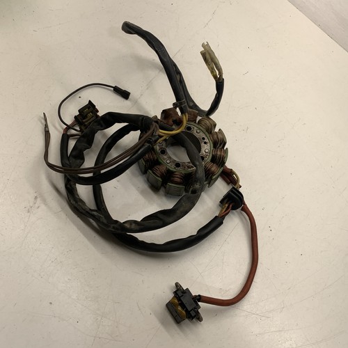 Rick's Electric OE Style Stator - 2003 POLARIS Sportsman 700 65412