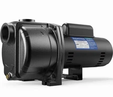 AQUASTRONG 2 HP Shallow Well Jet/Centrifugal Pump, 5200 GPH, 230V