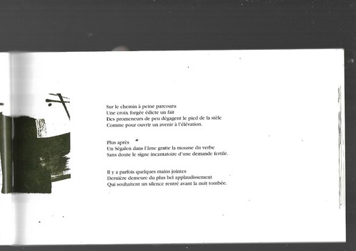 Un pas de croix Elisabeth Lemaigre-Voreaux André Duprat Ed Jacques Brémond E27 - Foto 3 di 12