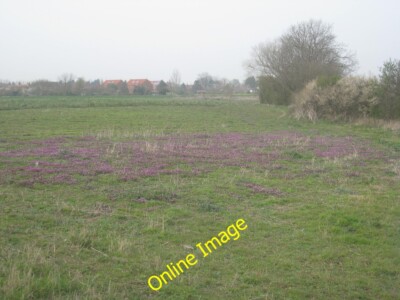Foto 6x4 Aufnäher rote tote Brennnessel South Muskham Lamium purpureum. c2014