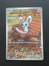 Minccino  152/086 Black Bolt Illustration Rare Pokemon TCG  English NM