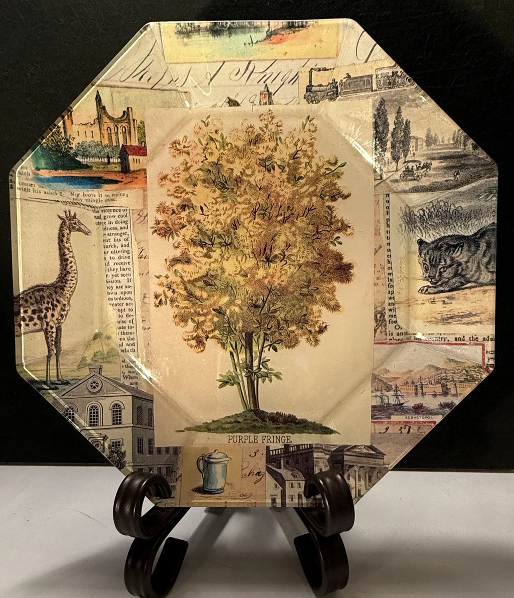 john derian plates products for sale | eBay