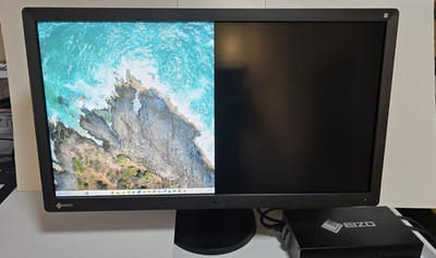 EIZO RadiForce RX850 Hi-Res 8 MP 31.3'' LCD Monitor 0FTD1958 W/ Power Supply 2019