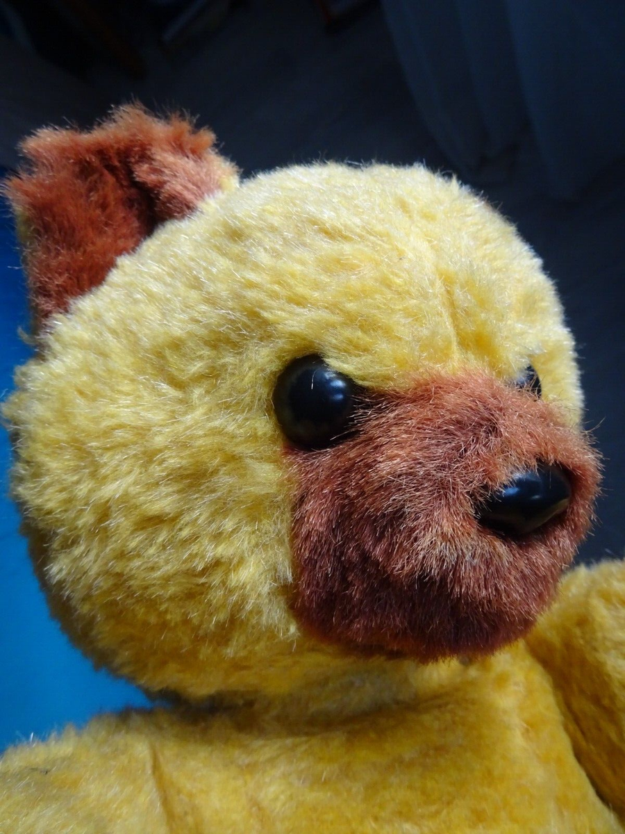 Ours ancien 28 cm nez bouche brodés yeux marrons , bon etat