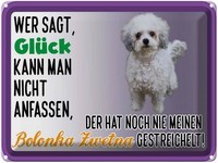 Blechschild 30X40 Cm GlüCk Anfassen Bolonka Zwetna Hund Deko Geschenk Metall Sch