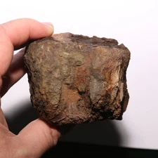 Edmontosaurus Vertebra BEAUTY Dinosaur Fossil Hell Creek Formation - Cretaceous