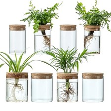 Plant Propagation Stations for Plants, 2 Size Glass Propagation Vases for 8