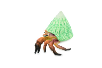 Hermit Crab, Realistic Toy Figure, Model, Replica, Gift, 3