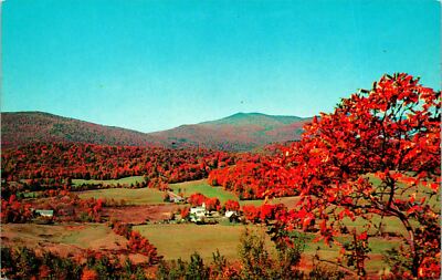 Plymouth VT Birthplace Calvin Coolidge Postcard unused (18943)
