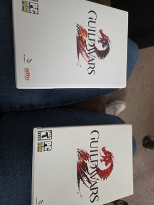 Guild Wars 2 (PC, 2012)