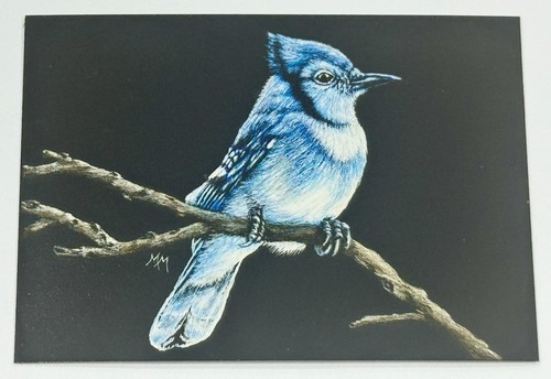 Original Scratchboard Art Wildlife Blue Jay Painting Bird Animals ACEO Art Card