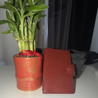 Filofax Charleston Deluxe Compact Organizer Red Leather Women Personal Planner