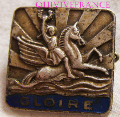 IN9729 - INSIGNIA GLORY, Cruiser | eBay