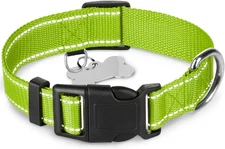 TECEUM Reflective Dog Collar – Acid Green –Large