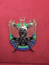 Military Challenge Coin USN USS MICHAEL MURPHY DDG-112 CPO Coin