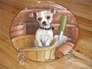 ebay chihuahua puppies