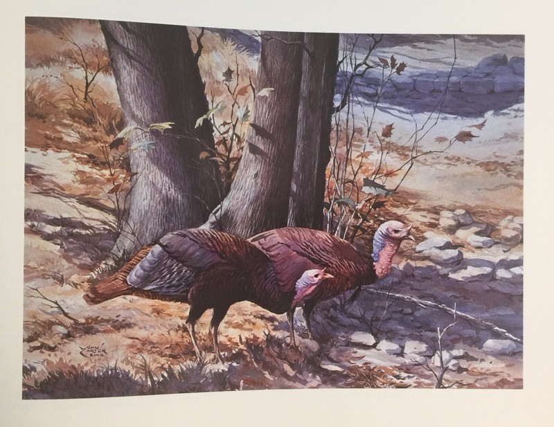 Picture 8 of 8