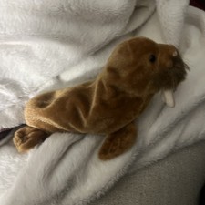 VINTAGE - TY BEANIE BABY - PAUL the WALRUS - Date Of Birth FEBRUARY 23 1999 NEW