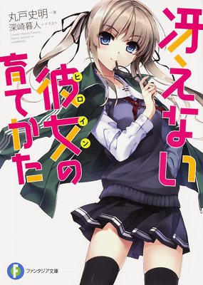 Saekano: How to Raise a Boring Girlfriend 1 novel book Japan 