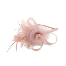 Fascinators Hats 20s 50s Pillbox Hat Tulle Fascinators for Women Tea Party He...