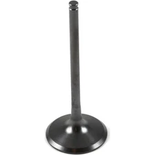 Kawasaki Genuine Valve-Intake - 12004-0033