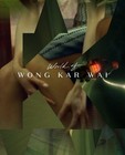World of Wong Kar Wai (The Criterion Collection) (As Tears Go By / Day (Blu-ray)