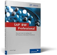 SAP BW Professional: Tips and tricks for dealing with SAP Business I - VERY GOOD