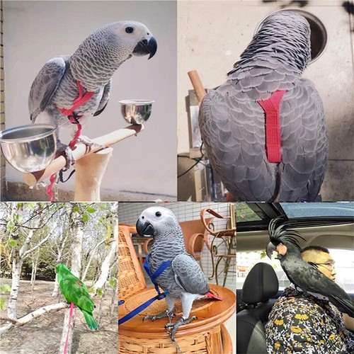 Verstellbares Vogel Fliegengeschirr Leine Seil Vögel Papagei Outdoor Freiflug Training - Bild 5 von 9