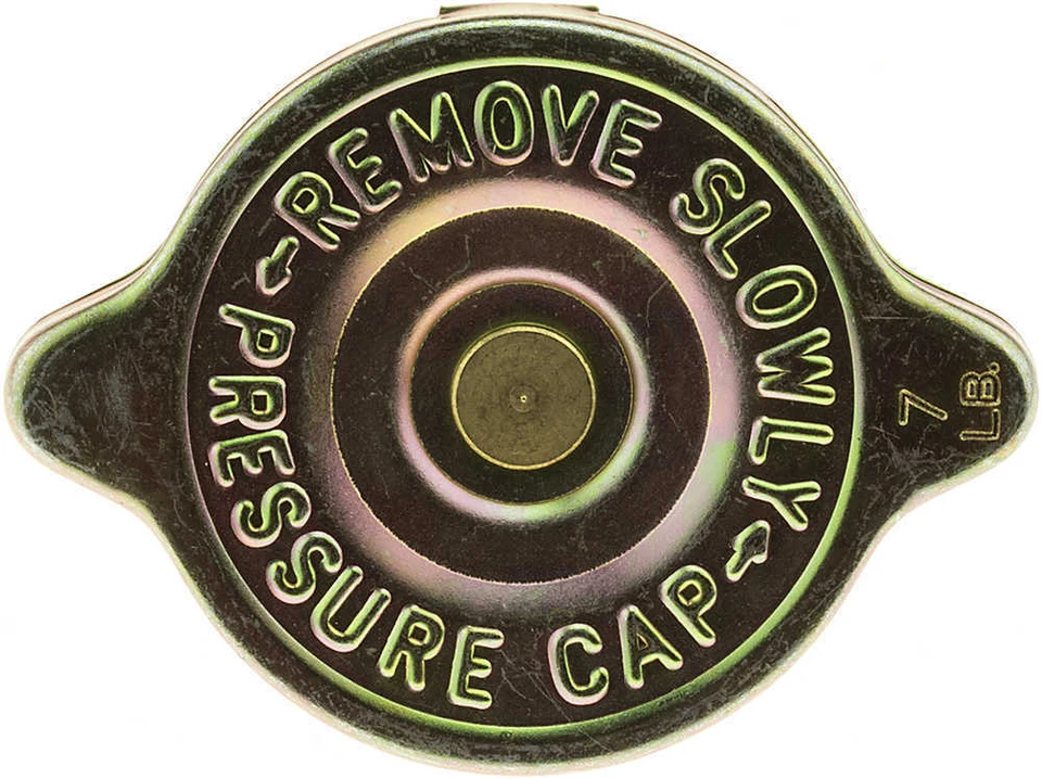 Tapa radiador-puertas tipo OE 31306 Foto 3 de 4