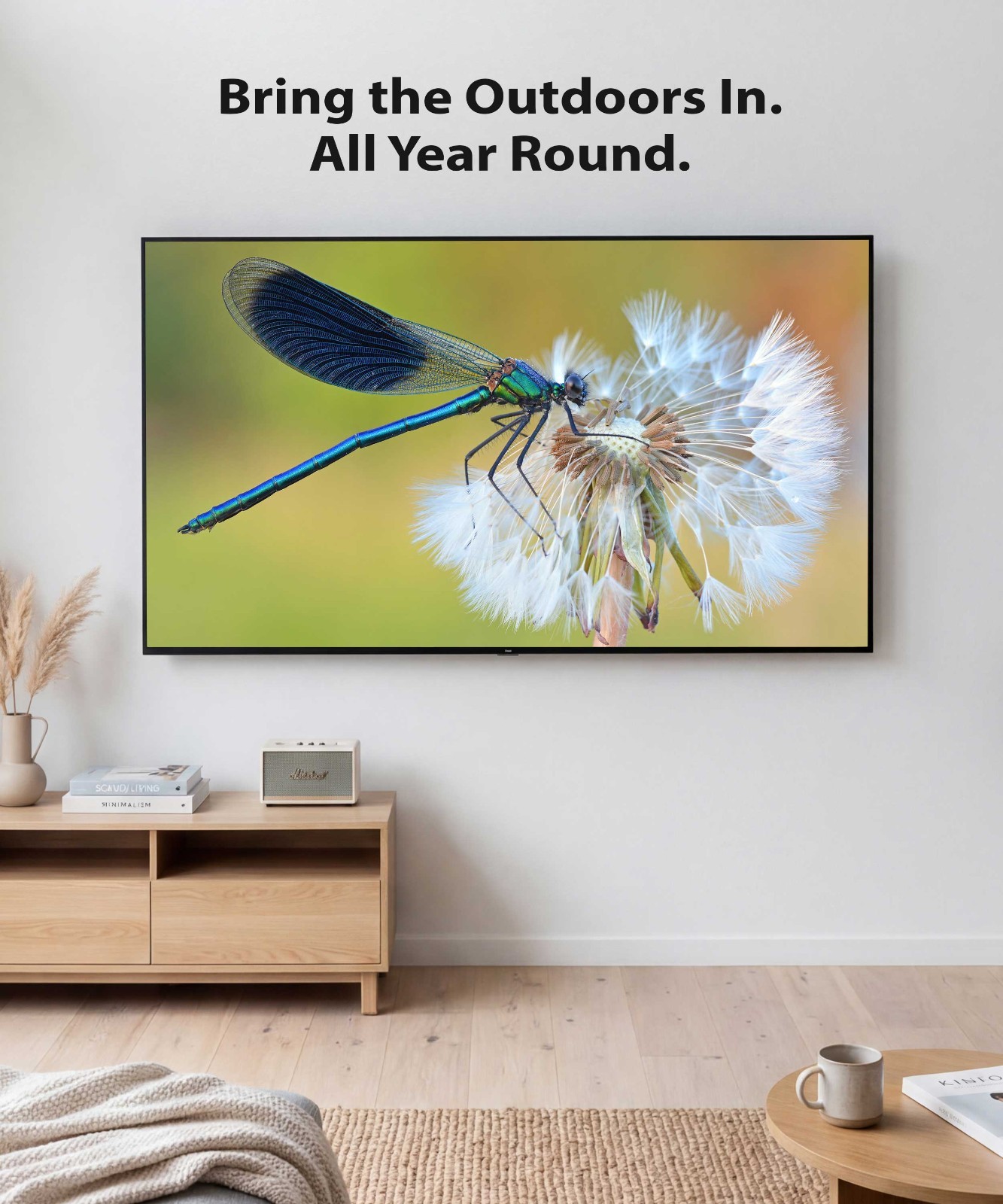 Convert Your TV into a Photo Gallery | Dream Nature TV Screensaver Art Display