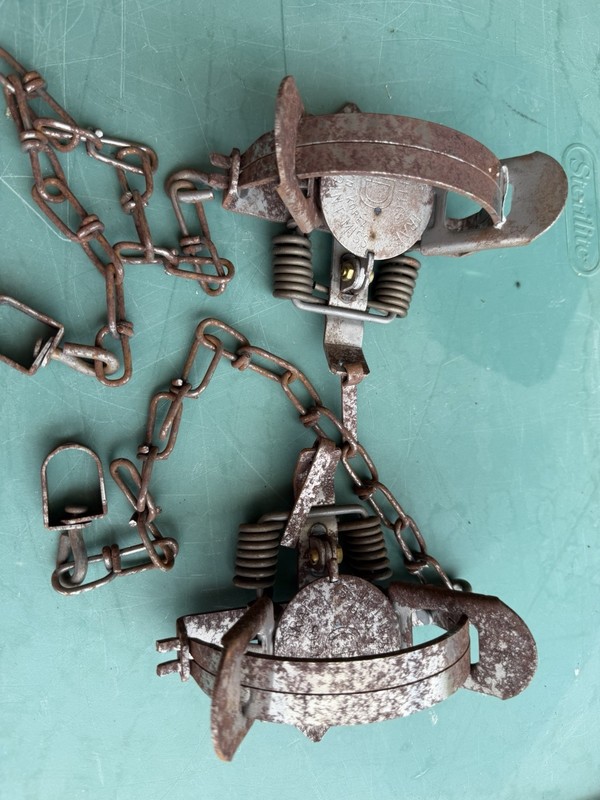 2 Duke 1 1/2” Coilspring Traps Lot of 2 New Old Stock Animal Traps