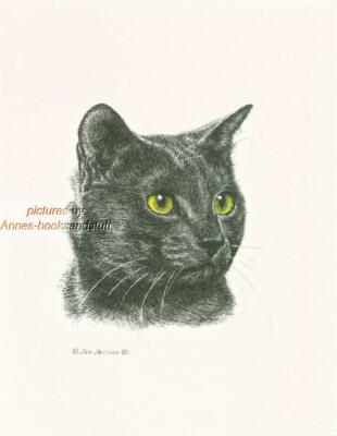 #258 BLACK CAT portrait art print * Pen and ink drawing by Jan Jellins
