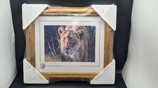 Stephen Gayford Caught By The Light Limited Edition Print Framed Signed 798/950