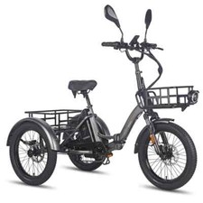 Fafrees F20 Mate Elektro-Dreirad 500W 48V 23,45AH 3-Rädern E Fahrrad Tricycle