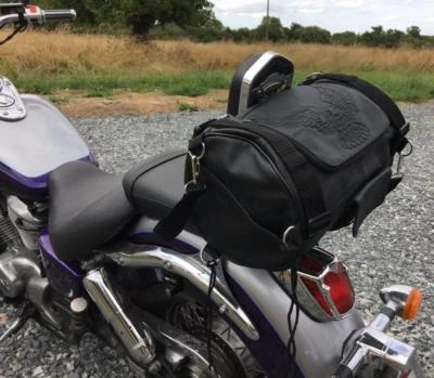 Sac sissi bar Cuir souple Aigle / eagle (moto custom harley shadow intruder vn ) - Photo 1/4