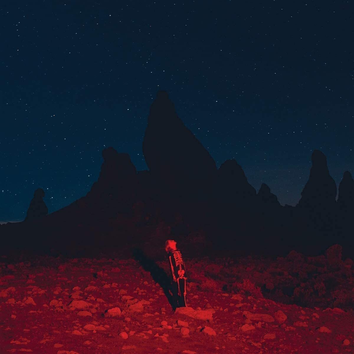 Phoebe Bridgers Punisher (CD) Album