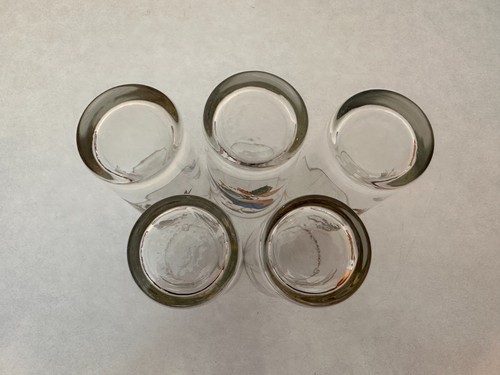Set of (5) - West Virginia Glass - Songbirds - Gold Rimmed - 5.5" Tall - Picture 8 of 8