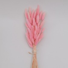 WINTER NATURA DRIED FLOWERS 50 STEMS PRETTY LITTLE BRIDE BOUQUET CENTERPIECE 12"