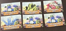 Assorted Garden Seeds - 6 Packs