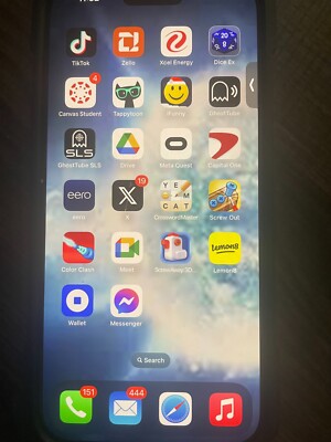 Apple iPhone 15 Pro Max - 1 TB with TikTok and Lemon8