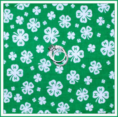 BonEful Fabric FQ Cotton Quilt VTG Green White 4H Club Clover Home School Farm S
