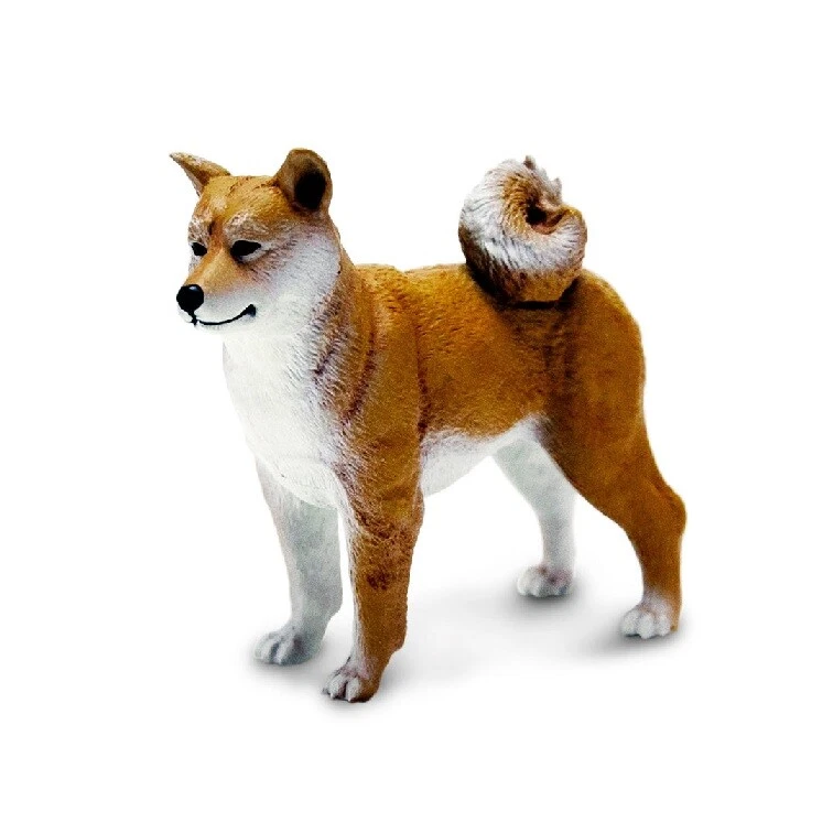 Shiba inu good store with cats