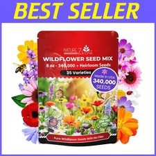 Perennial and Annual Wildflower Seeds   1/2 lb Bulk for Vibrant Spring Blooms