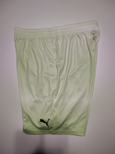 Puma Herren XL 10 Inch Shorts Grün C3 Neu - Bild 12 von 15